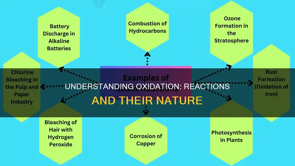 which of the reactions shown constitute an oxidation reaction