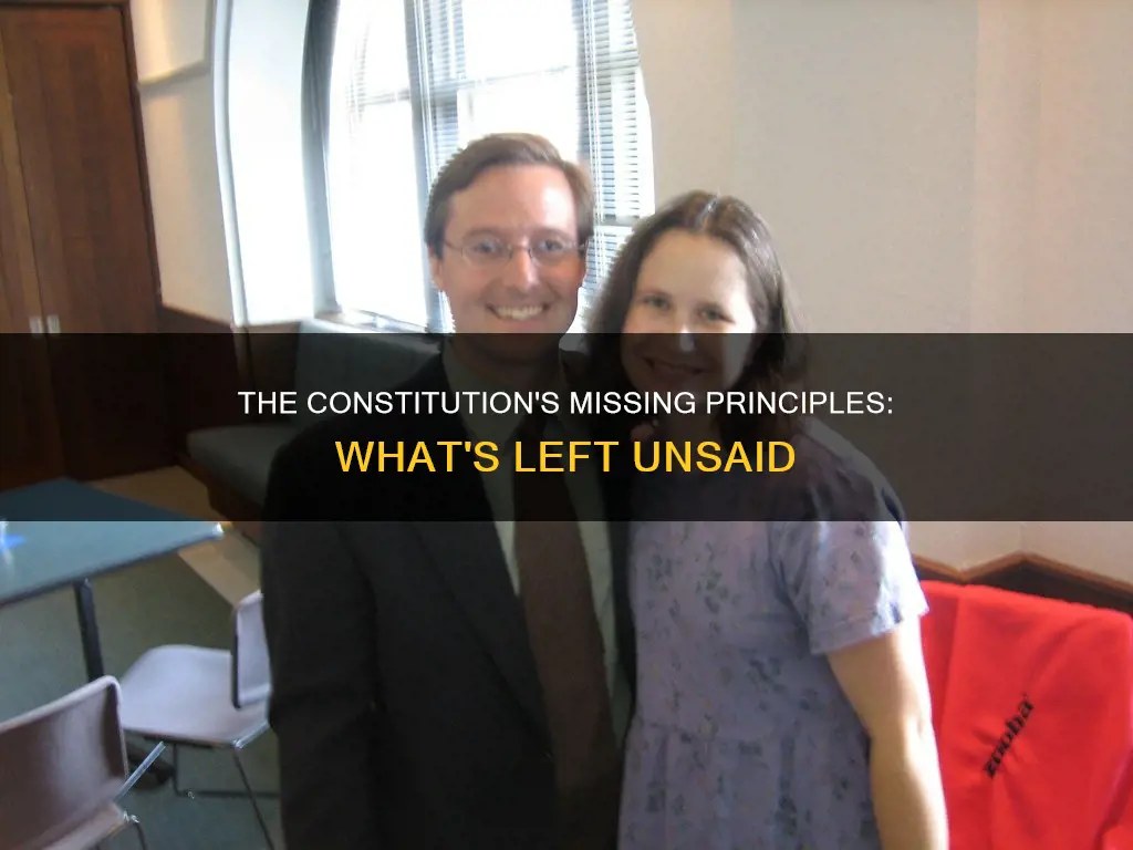 which of the six principles is not in the constitution