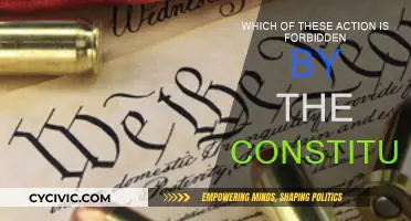 The Constitution's Forbidden Actions: What You Need to Know