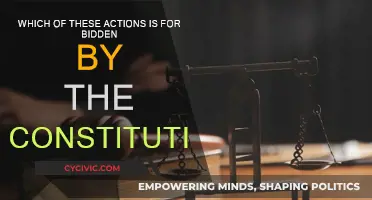The Constitution: Actions Forbidden and Their Consequences