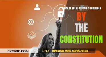 The Constitution: What It Forbids and Why It Matters