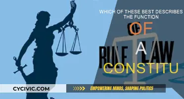 The Constitution's Core Function: A Nation's Framework