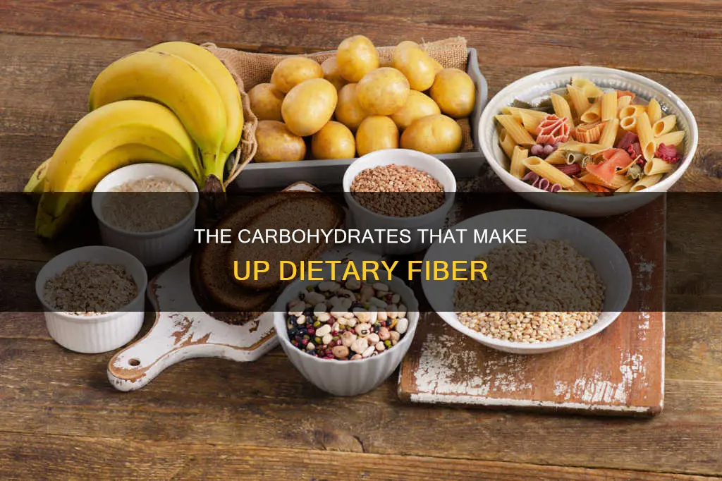 which of these carbohydrates constitutes the bulk of dietary fiber