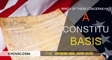 Founding Fathers' Concerns: Constitutional Basis?