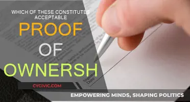 Proof of Ownership: What Counts as Valid Evidence?