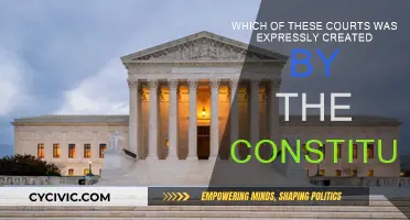 The Supreme Court: Constitution's Highest Court