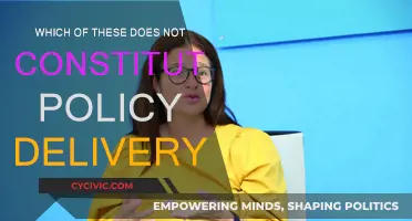 Policy Delivery: What's Not Included and Why