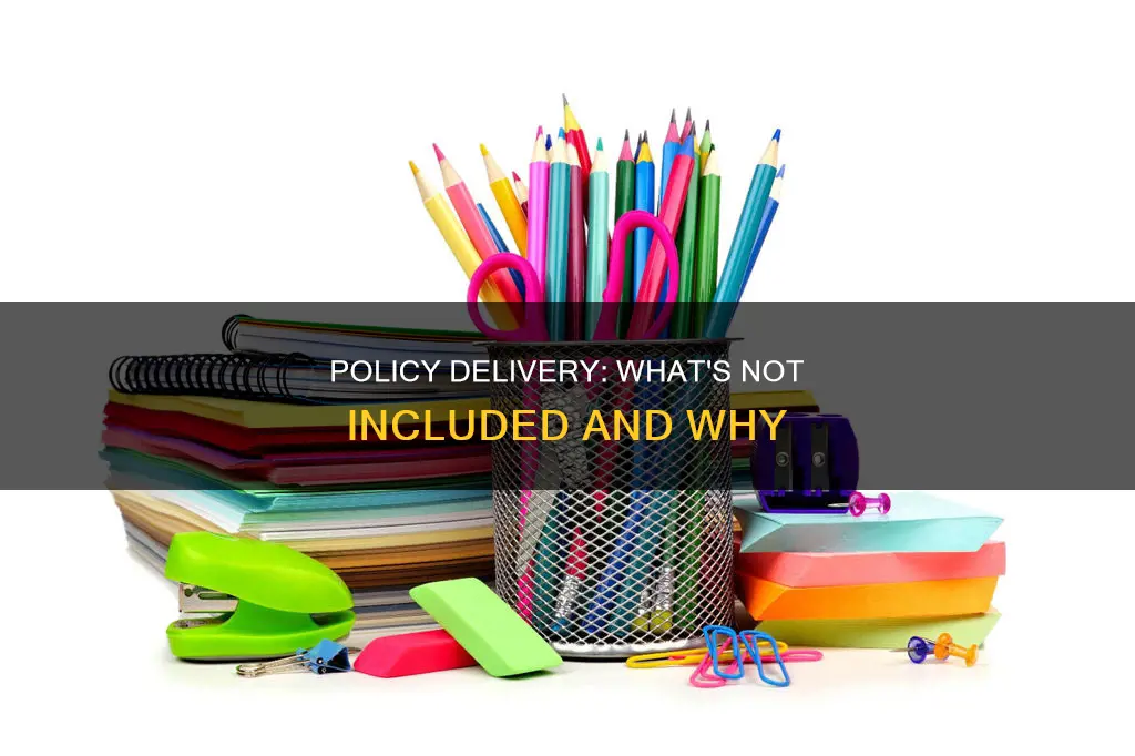 which of these does not constitute policy delivery