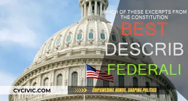 Federalism: Understanding the Constitution's Power Division