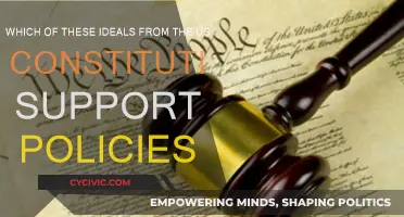 Constitutional Ideals: Policy-Making and American Values