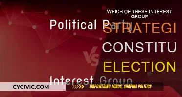 Interest Groups: Electioneering Strategies and Tactics