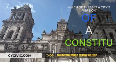 Charter Cities: The Constitution Connection