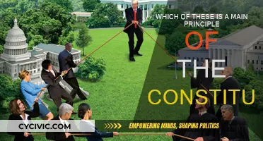 Understanding the Core Principles of the Constitution