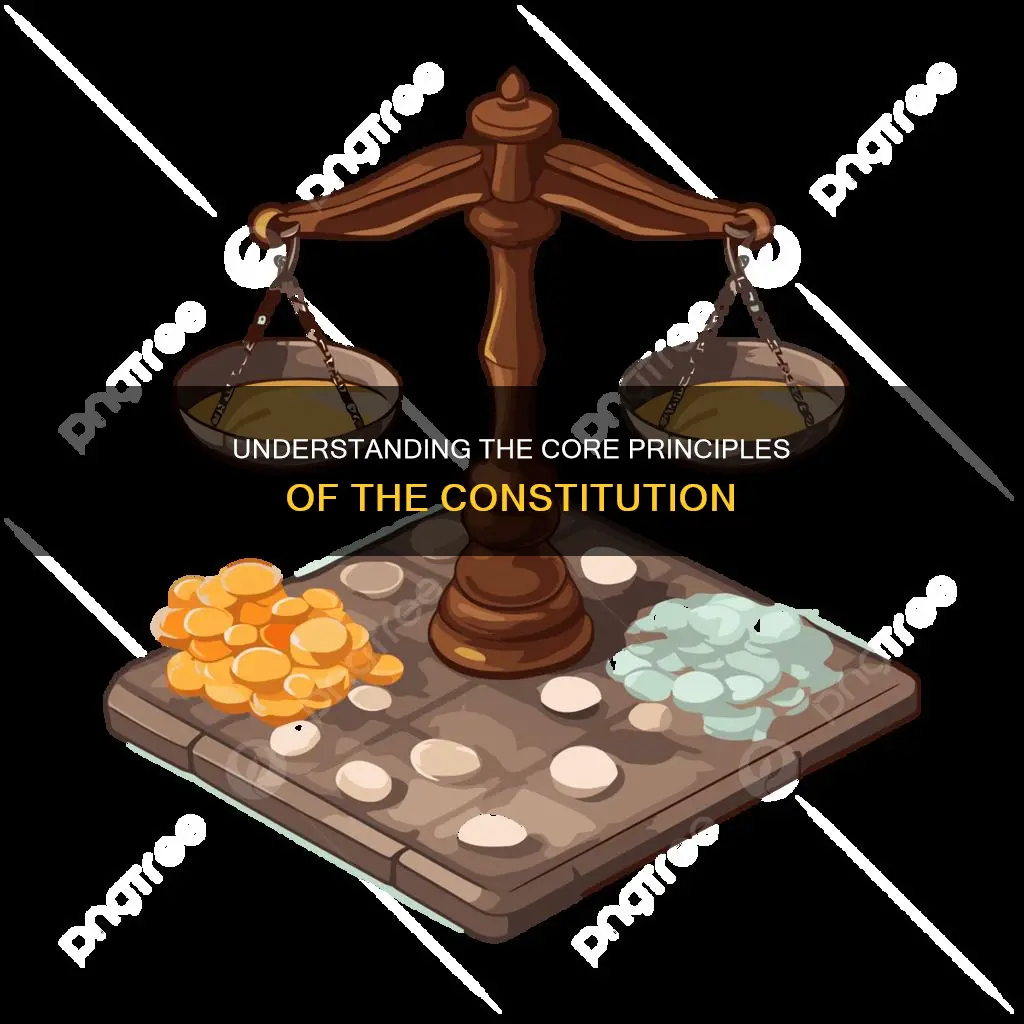 which of these is a main principle of the constitution