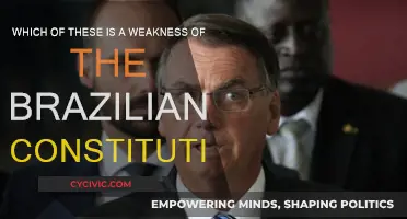 The Brazilian Constitution: Weaknesses and Their Impact