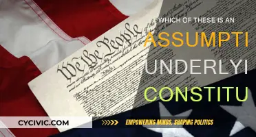 Key Assumptions of Constitutionalism: Underlying Principles Explored