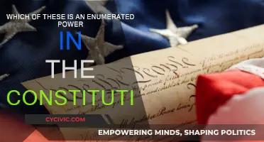 Enumerated Powers: Understanding Constitutional Limits