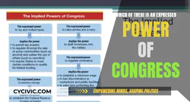 Congress' Express Powers: Exploring the Extent and Limits