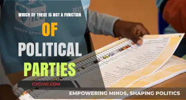 Unveiling the Role: What Political Parties Don't Actually Do