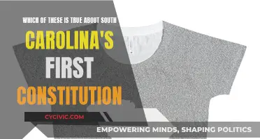 The First Constitution of South Carolina: Unique and Progressive