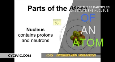 The Nucleus: Protons and Neutrons