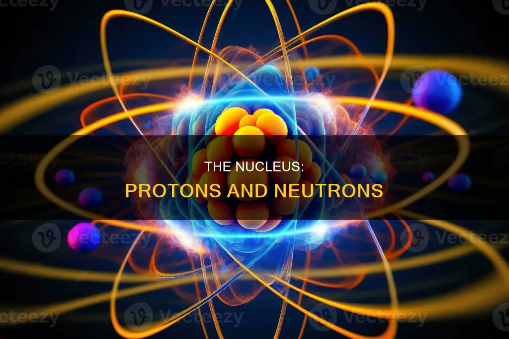 which of these particles constitute the nucleus of an atom