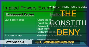 The Constitution: Denying Powers, Protecting Freedoms