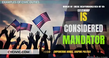Mandatory Duties: US Citizenship Responsibilities Explained