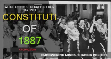 Bayonet Constitution's Impact: A Historical Overview