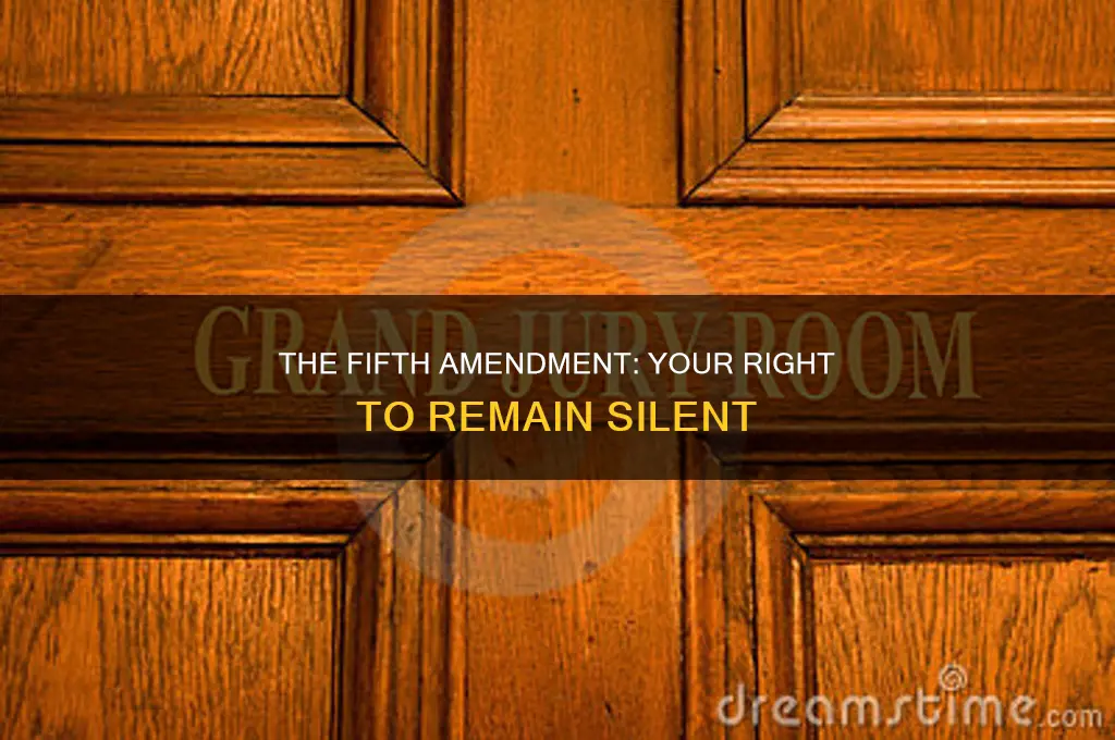 which of these statements accurately describes the fifth amendment