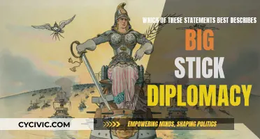 The Big Stick Diplomacy: Assertive Foreign Policy Approach