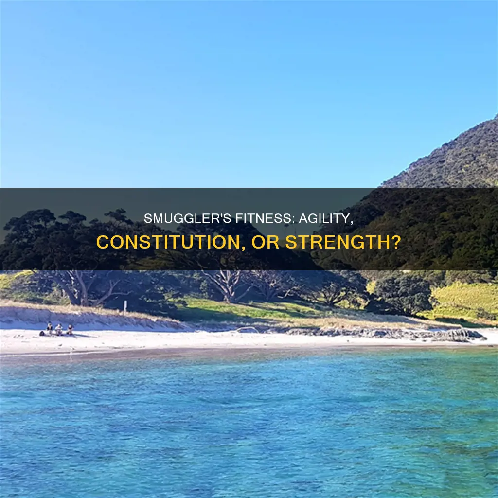 which one does smuggler need agiliy constitution or strength swg