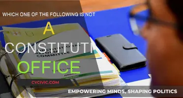 The President, Prime Minister, and Speaker: Who's Not a Constitutional Officer?