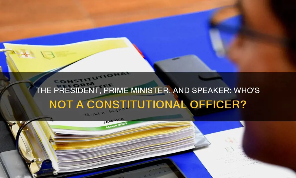 which one of the following is not a constitutional office