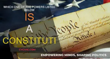 What Powers Does the Constitution Grant?