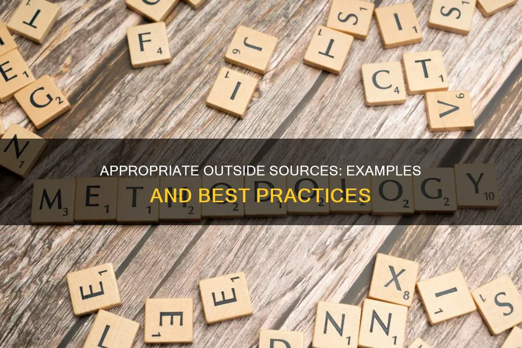 which one of these examples constitutes appropriate outside sources