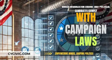 Campaign Compliance: Who's Watching Our Politicians?