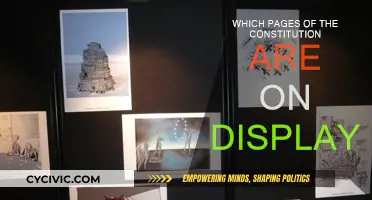 The Constitution's Pages: What's on Display?