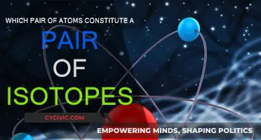 Isotopes: Hunting for Identical Atomic Twins