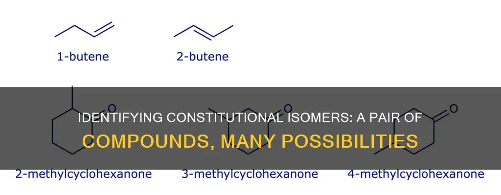 which pair of the following compounds are constitutional isomers