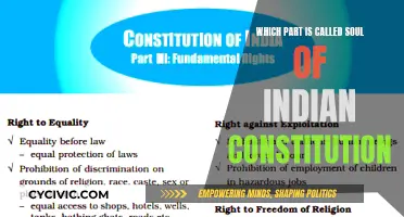 The Soul of the Indian Constitution: Fundamental Rights