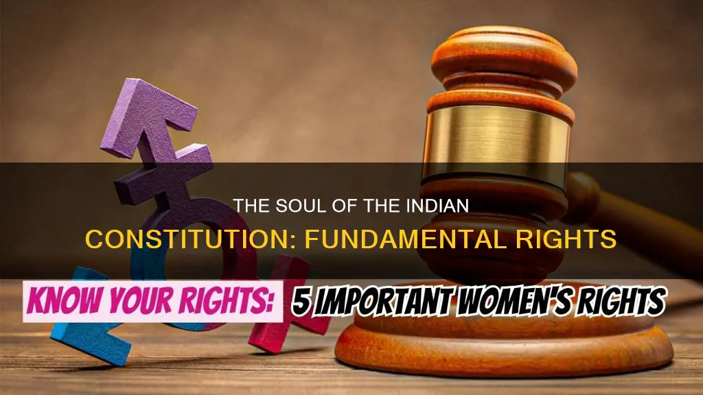 which part is called soul of indian constitution