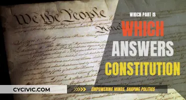 Constitution Queries: Understanding the Which and What