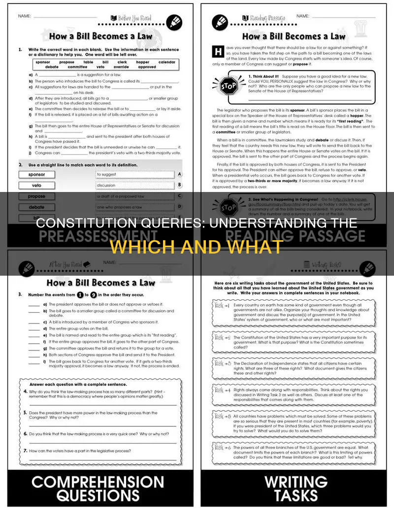 which part is which answers constitution