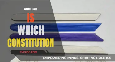 The Anatomy of a Constitution: Understanding Its Parts