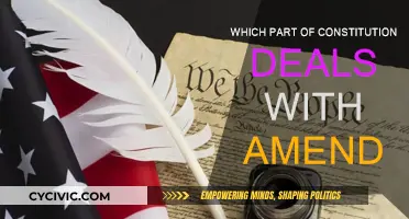 Amendments: Exploring the Constitution's Evolution