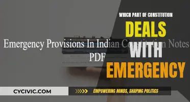 Understanding the Constitution: Emergency Provisions Explained
