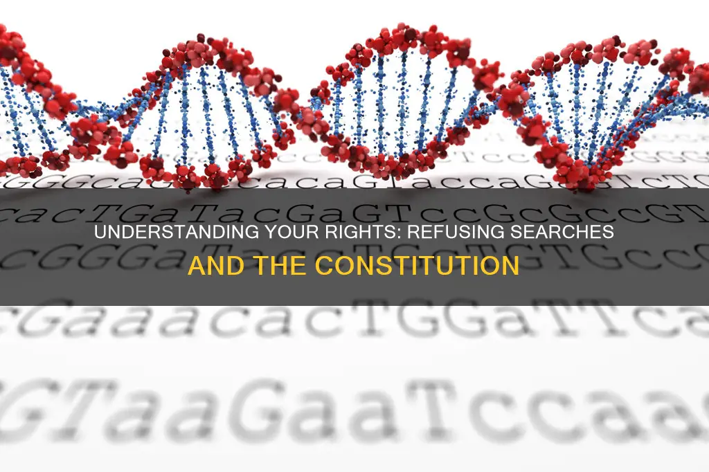 which part of constitution to refuse being searched