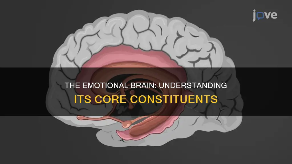 which part of the brain constitutes the emotional brain