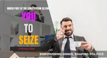 The Seizure Clause: Understanding Constitutional Powers and Limits